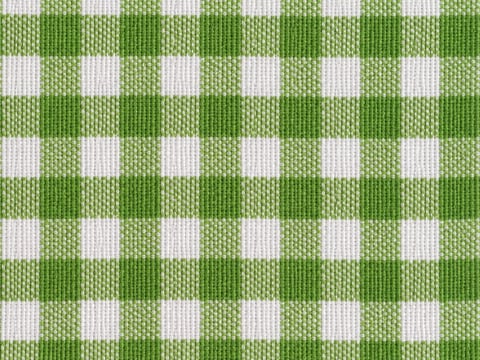 Vichy verde manzana — tela 6