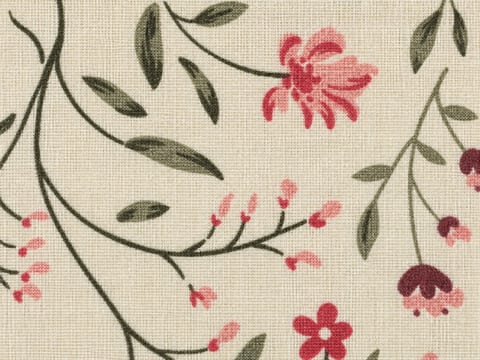 Ramas sobre crema — tela 45